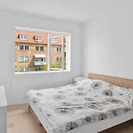 Modern Central Located Apartment